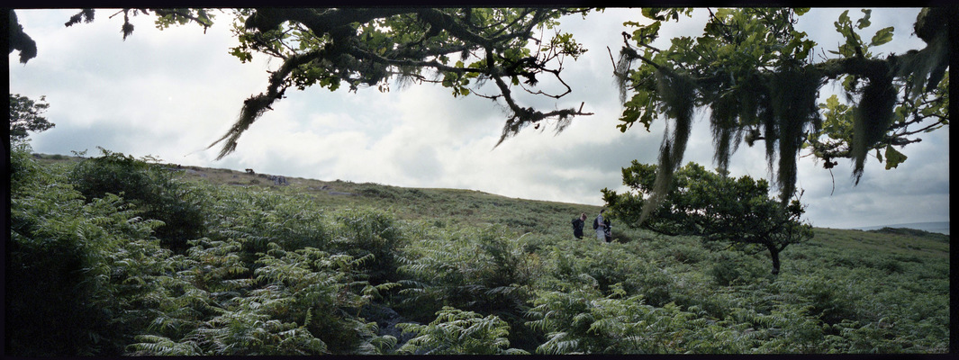 Frits Vandenweghe - Hasselblad XPan - Kodak Portra 400