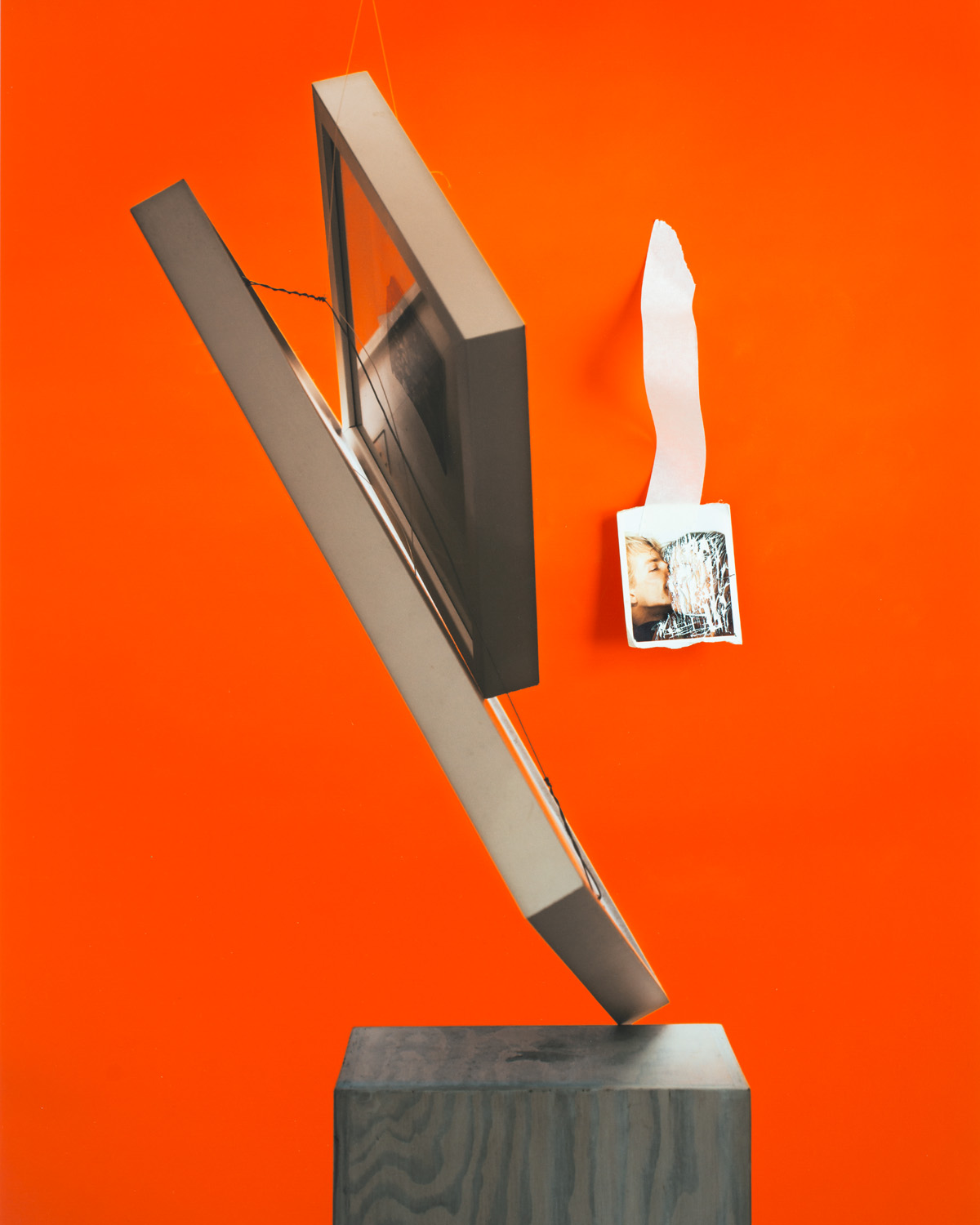 Fotograf Martin Magntorn - Every dog has it’s day/ 2022