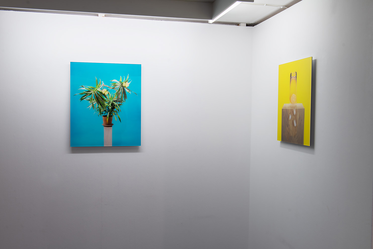 Fotograf Martin Magntorn - Dead Ends, Martin Bryder Gallery, 2022.