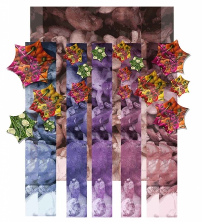 Eveline Tsang - 