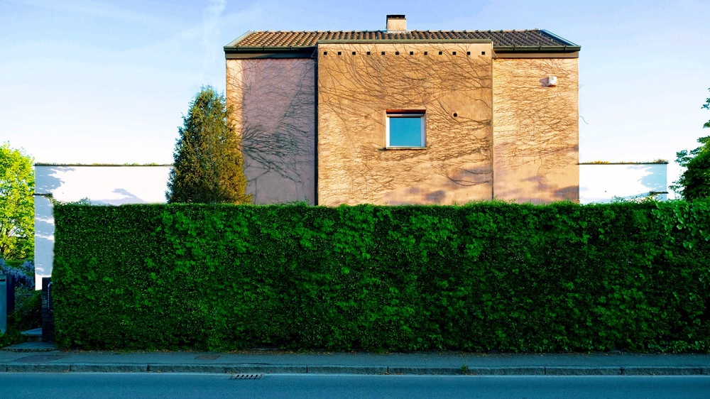 allenarchitettura -