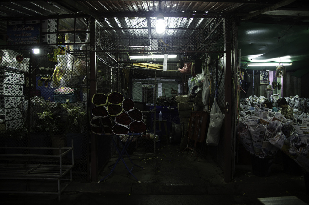 portfolio - chiang mai