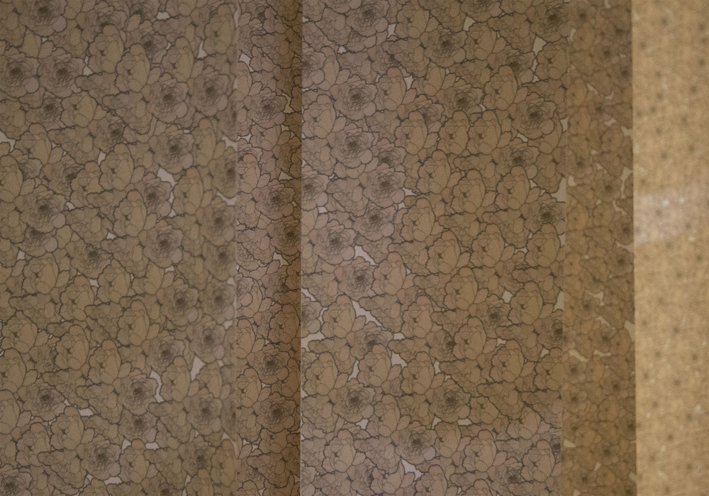 Luana Cruciato - Artis Photographie dinstallation, de 30 lés de 40cm x 7cm dans maquette de White Box 128cm X 183cm 2013