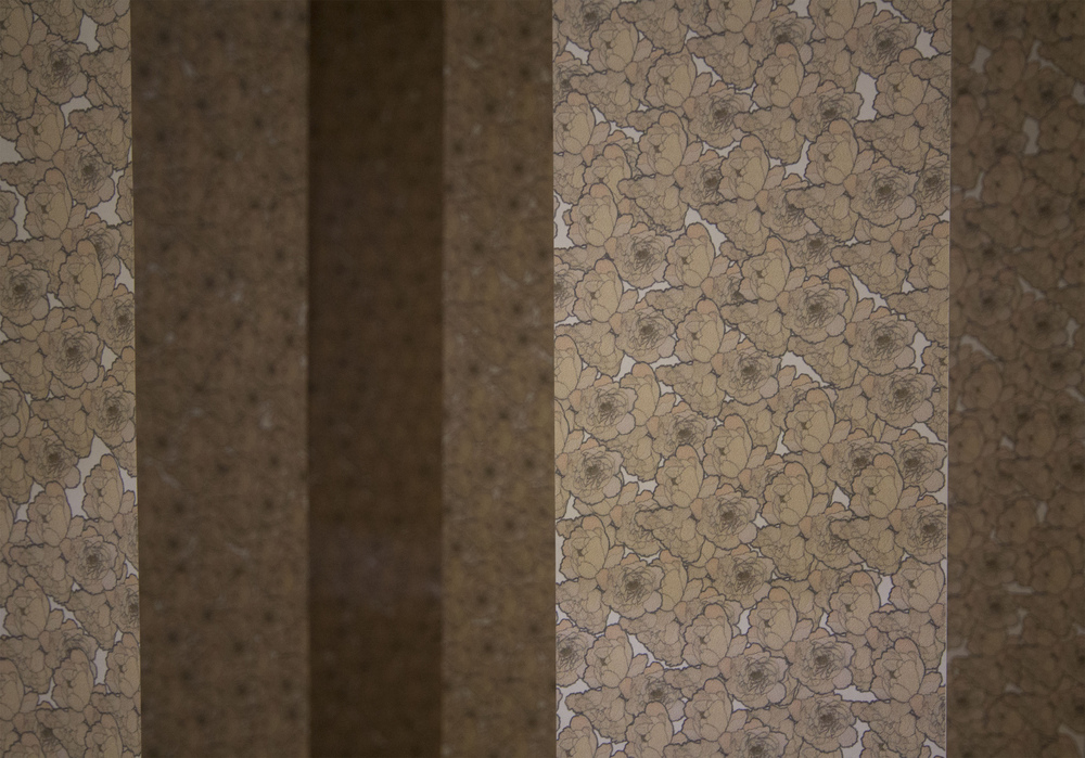 Luana Cruciato - Artis Photographie dinstallation, de 30 lés de 40cm x 7cm dans maquette de White Box 128cm X 183cm 2013