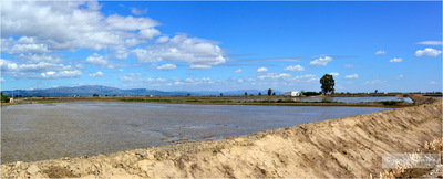 Fotografias - Delta del Ebro