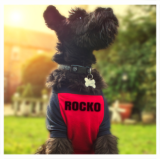 EQUINE K9 BRANDING - Dog T-Shirt £15 
