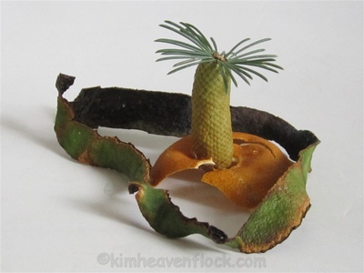 Photographie plasticienne - Island (20x30cm) 1 sur 10