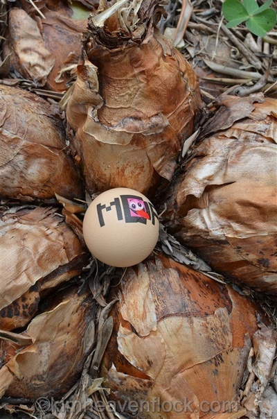 Photographie plasticienne - Isa 3 (50x75cm) 1 sur 5