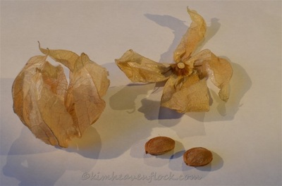 Photographie plasticienne - C1 (30x45cm) 1 sur 10 2014