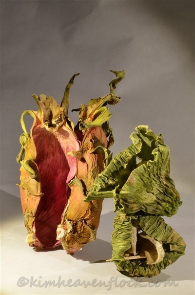 Photographie plasticienne - Pitayote (50x75cm) 2015