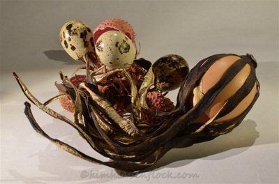 Photographie plasticienne - Medusa (30x45cm) 1 sur 10 2015