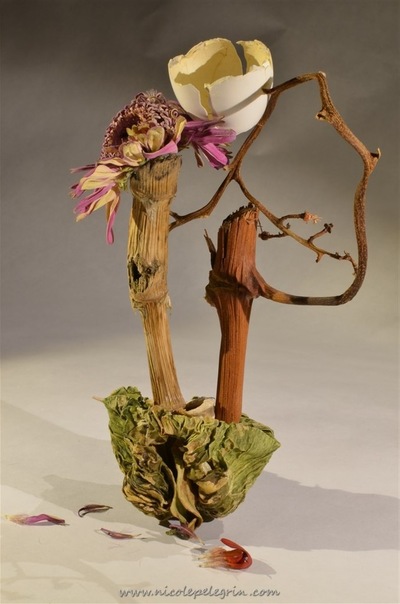 Photographie plasticienne - Avec oeuf en coupe
