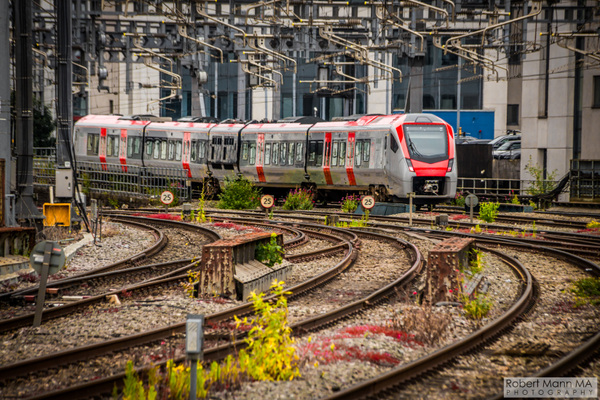 Robert Mann MA Photography - Cardiff Central Rail Station