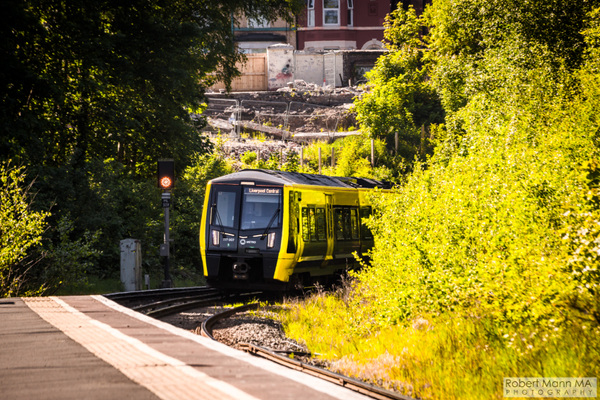 Robert Mann MA Photography - Birkenhead Park Rail Station