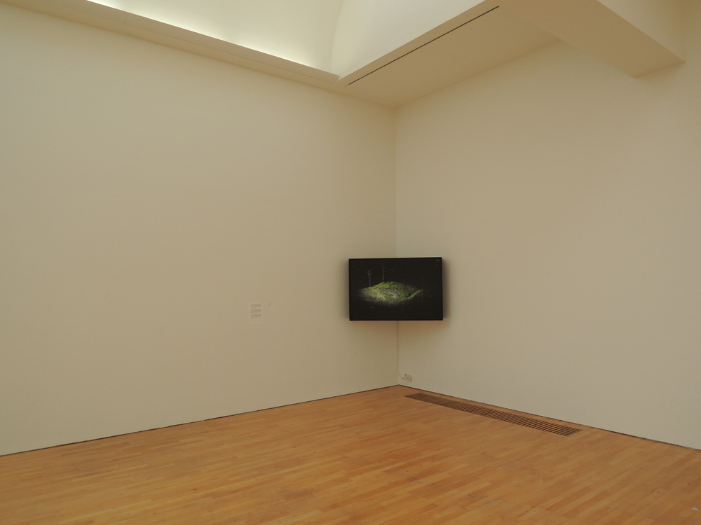 Dennis Ramaekers - Installation view