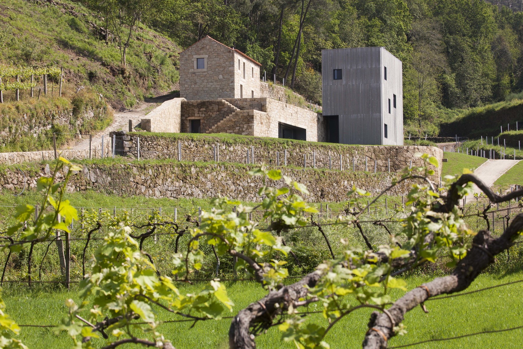 CORREIA/RAGAZZI ARQUITECTOS -