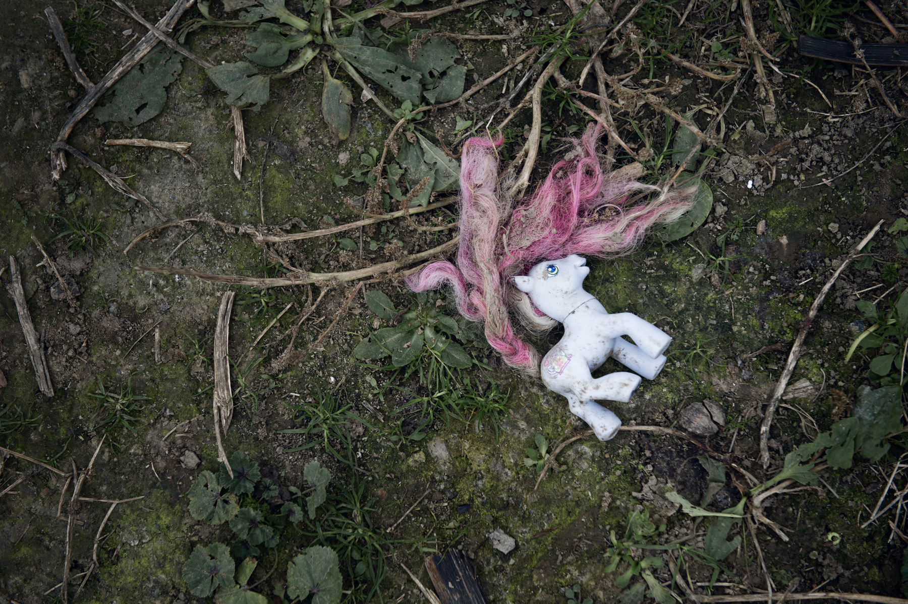 Photographer Anna Tärnhuvud - 