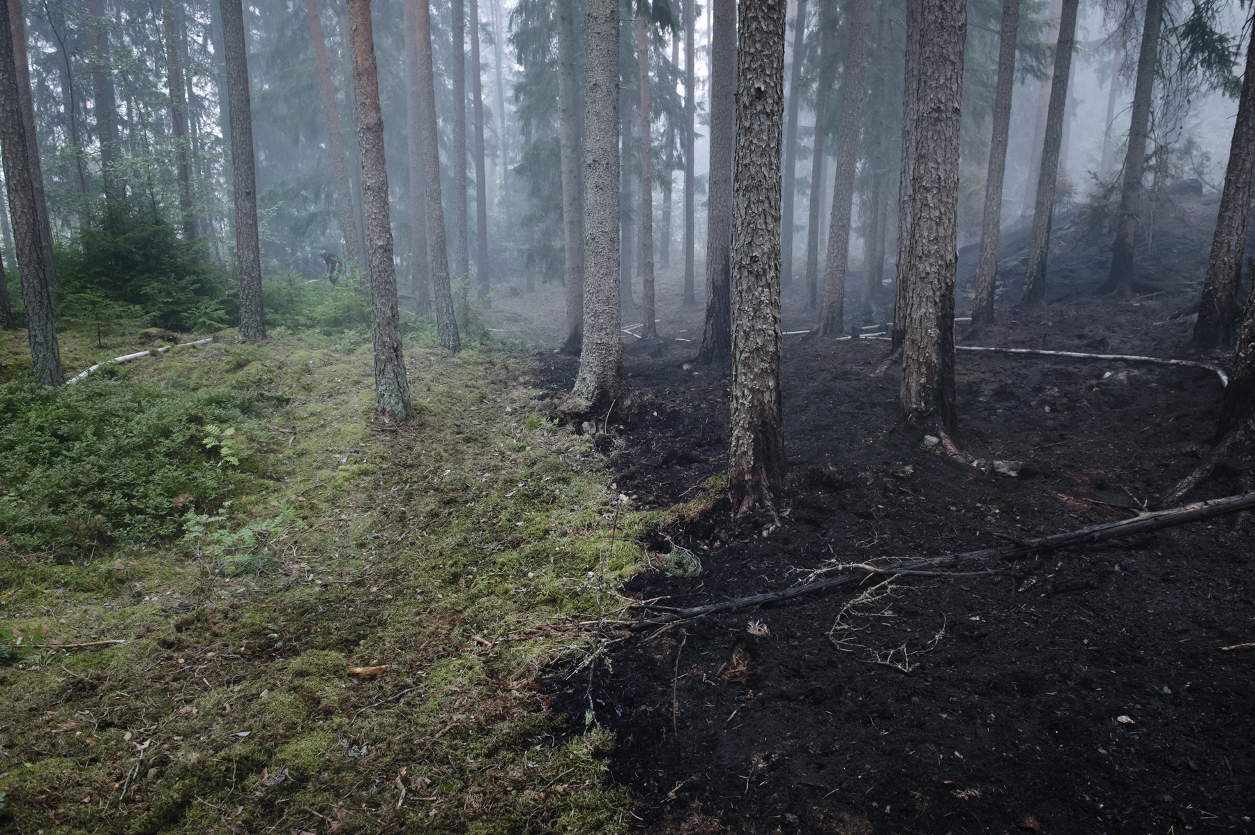 Photographer Anna Tärnhuvud - The summer of 2014 Sweden was fighting against the biggest forest fire in modern times.