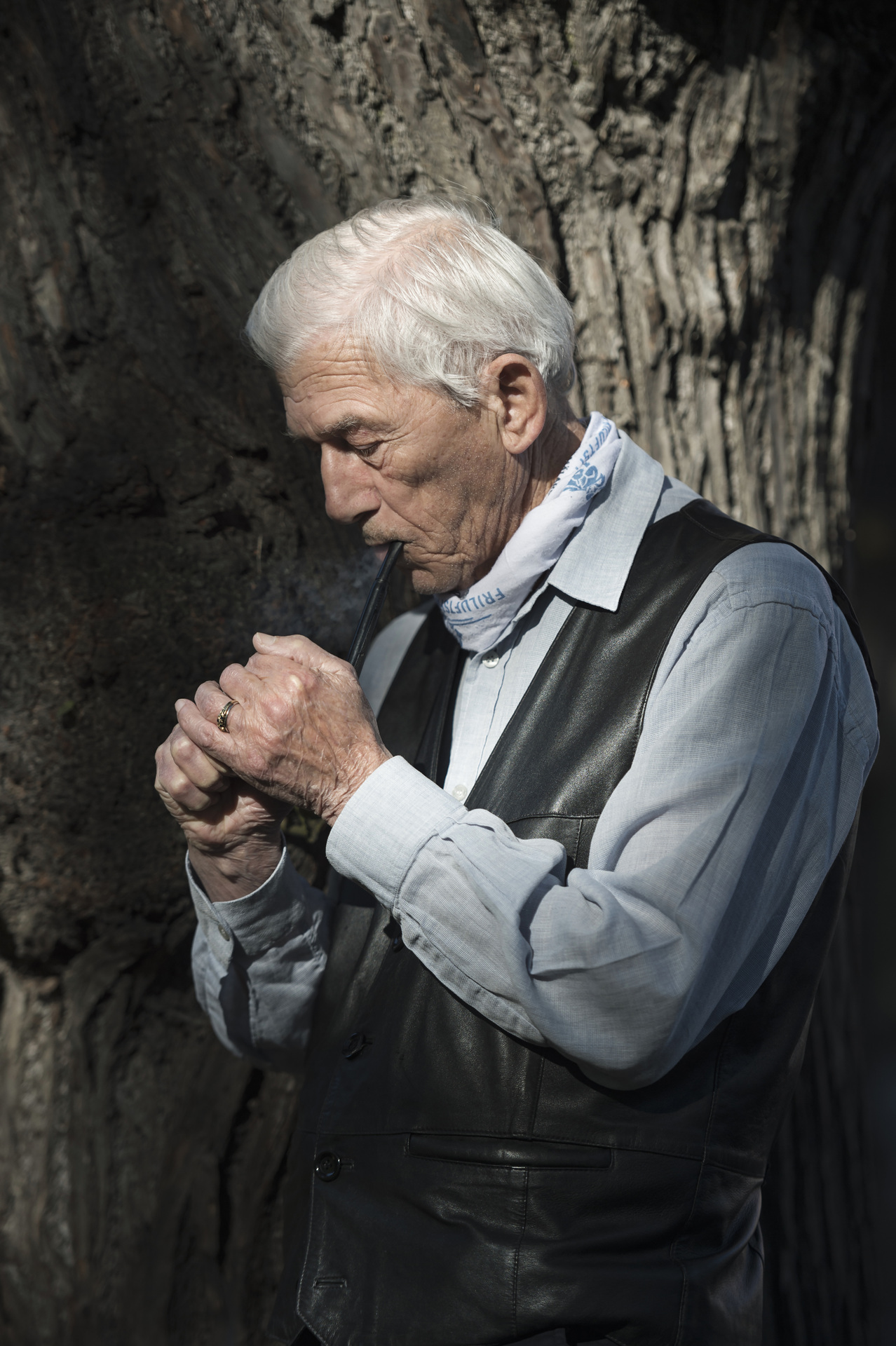 Photographer Anna Tärnhuvud - Theodor Kallifatides, author. Göteborgs-Posten