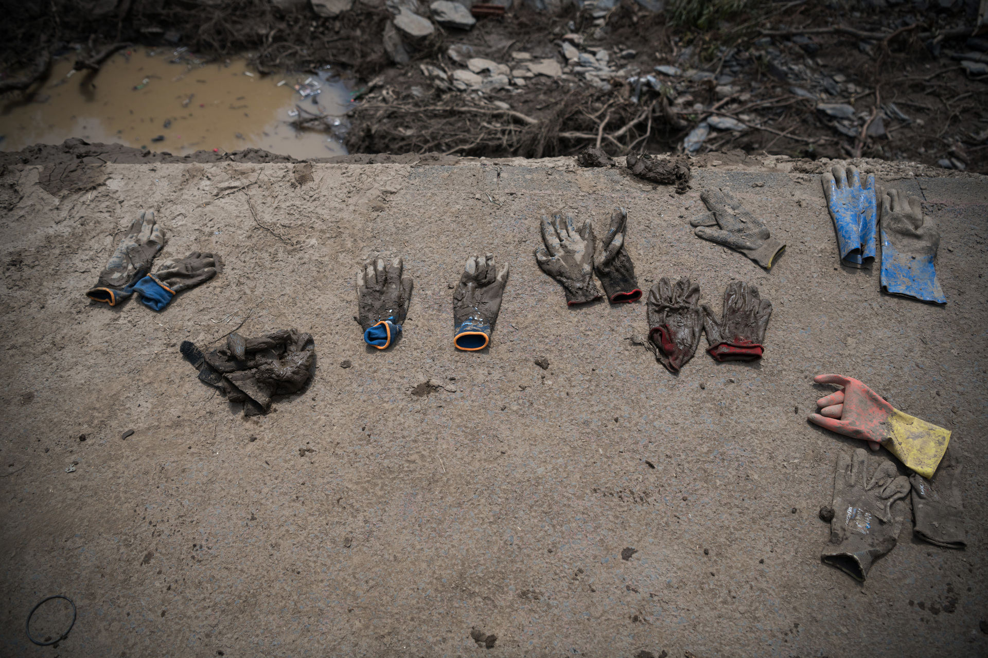 Photographer Anna Tärnhuvud - 