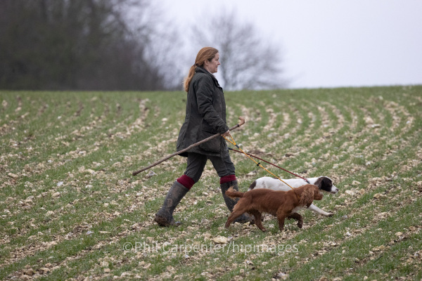 hipimages photography - 