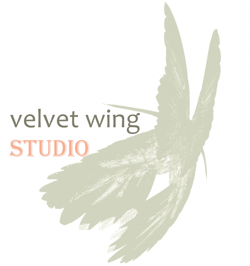 VELVET WING DESIGN  - surface design