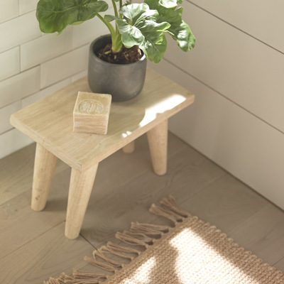 Julie Boogaerts Styliste Photo - DR Studio des plantes