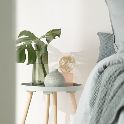 Julie Boogaerts Styliste Photo - DR Studio des plantes