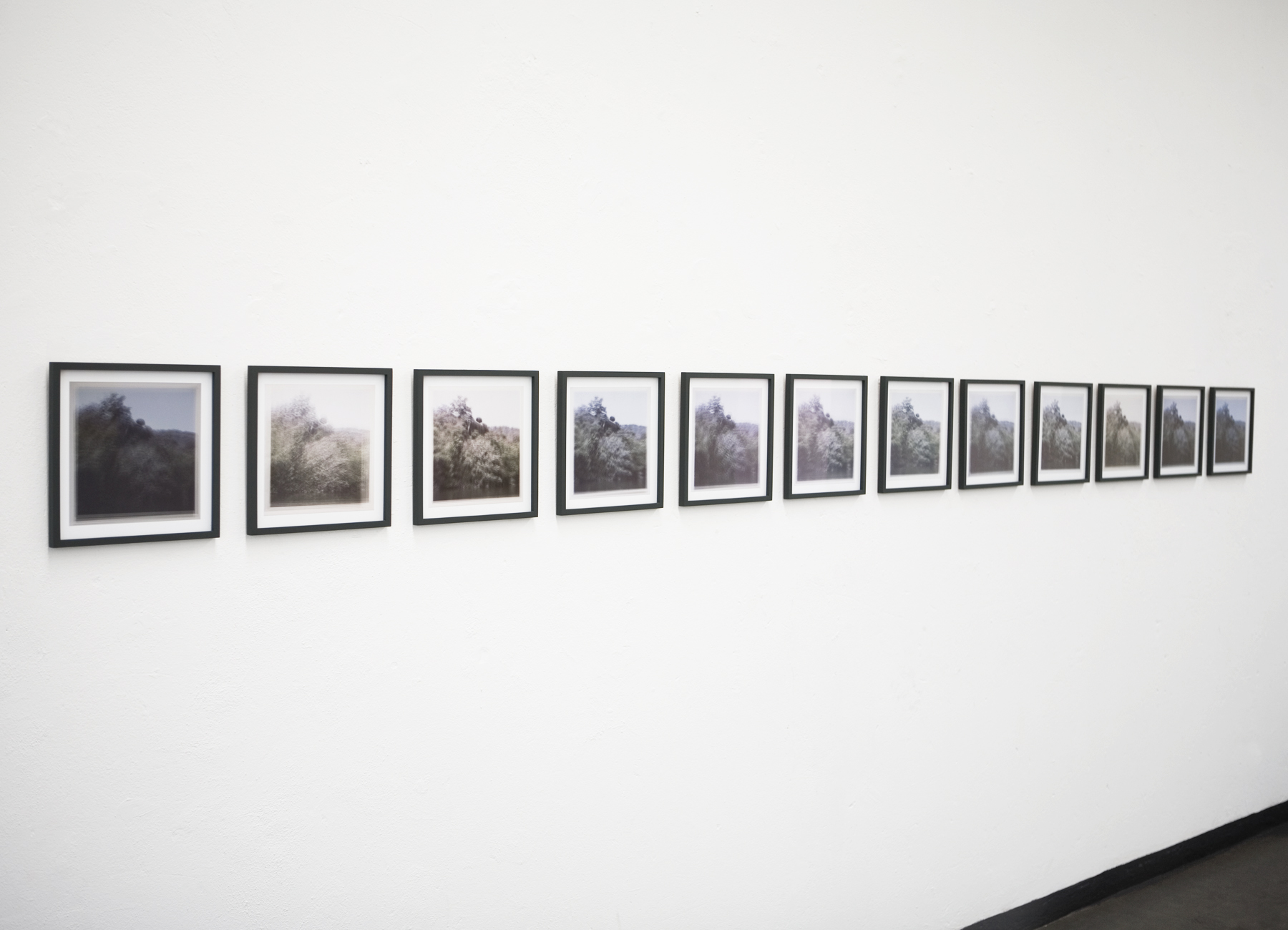 louisebogelundsaugmann - 