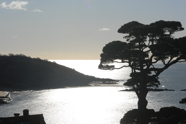 Margaret Denning Art & Photography - Sunny Cove Salcombe