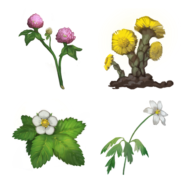 Emmi Nääppä - Kuvitus tarroihin, joita myyn taidekujilla. Procreate ja Apple Pencil iPadilla