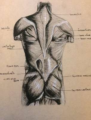 Montana Jade - Anatomical Study back