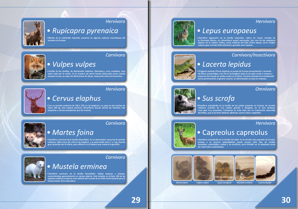 breve portfolio - Muestra de maquetación.