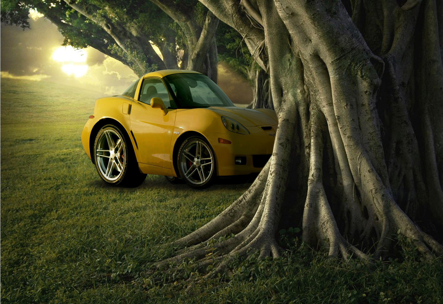 breve portfolio - Tiny Car Corvette integration.