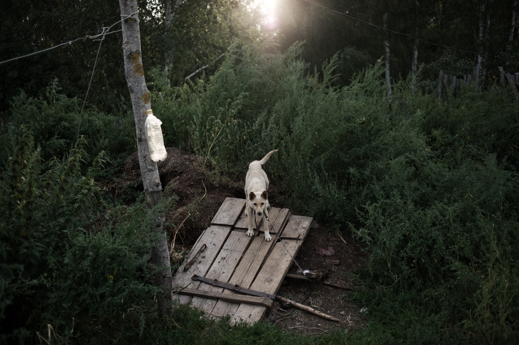Konstantin Salomatin -