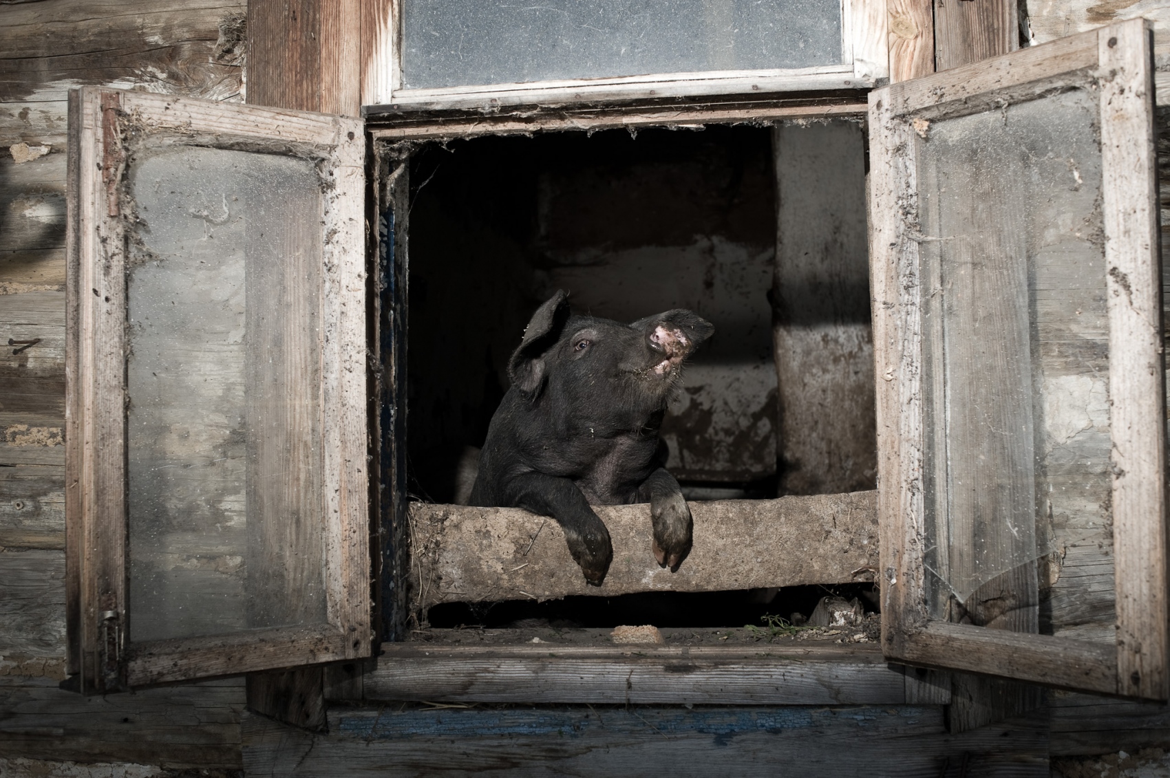 Konstantin Salomatin -