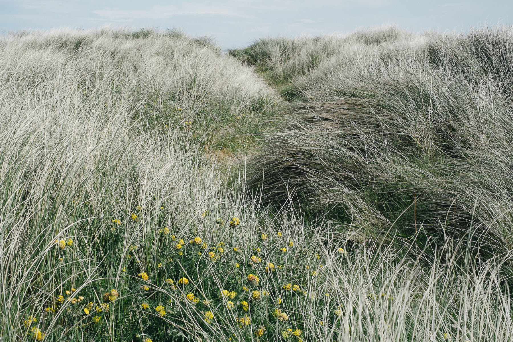 Ricardo Kump Photography -