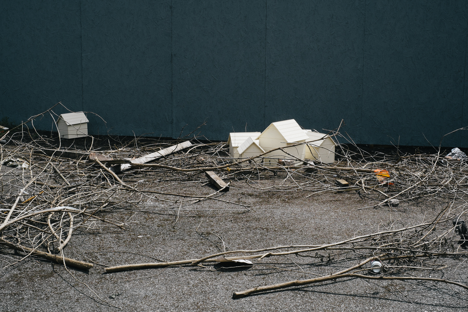 Ricardo Kump Photography -