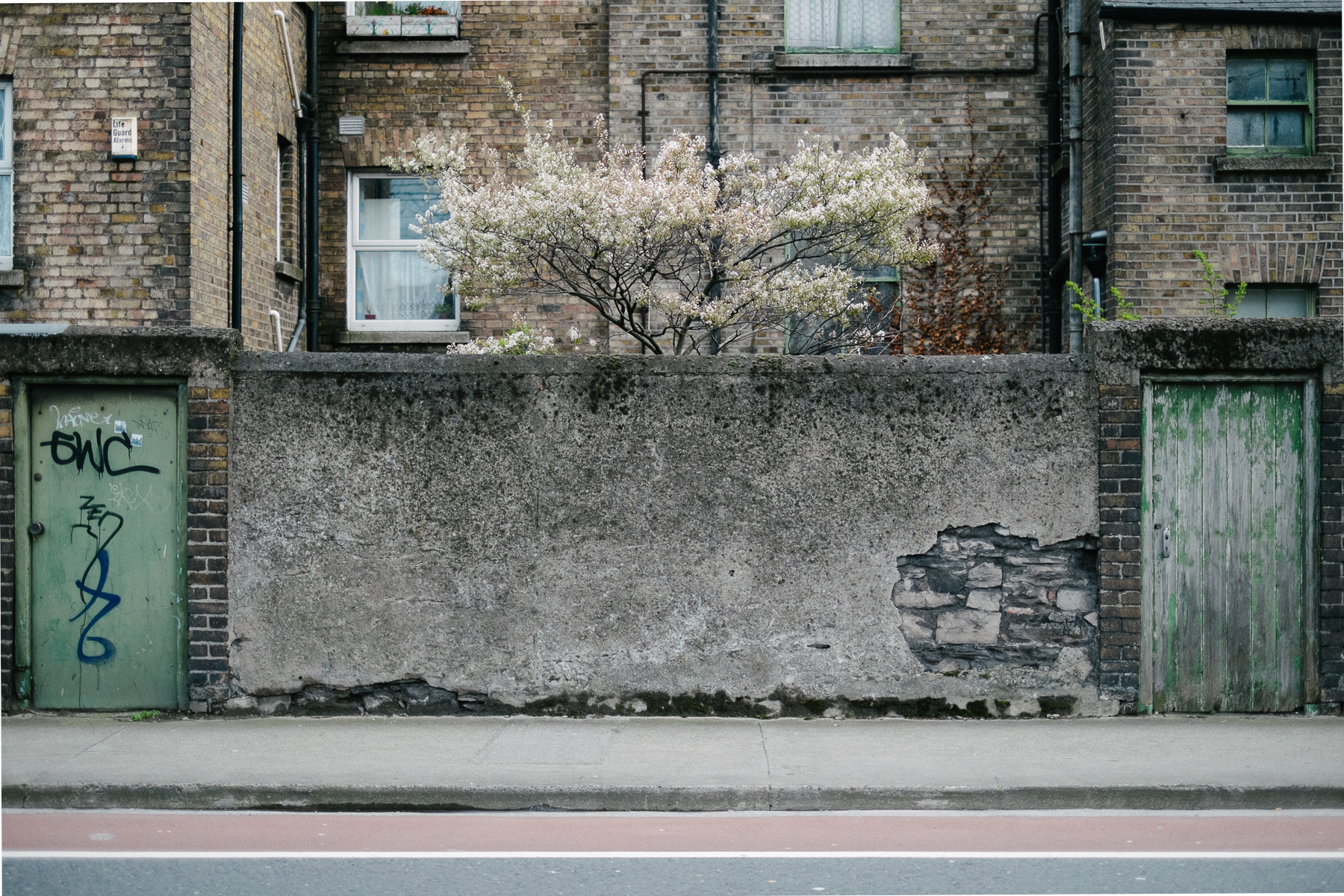 Ricardo Kump Photography -