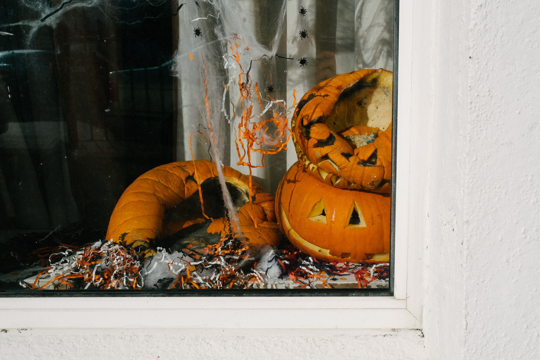 Ricardo Kump Photography -