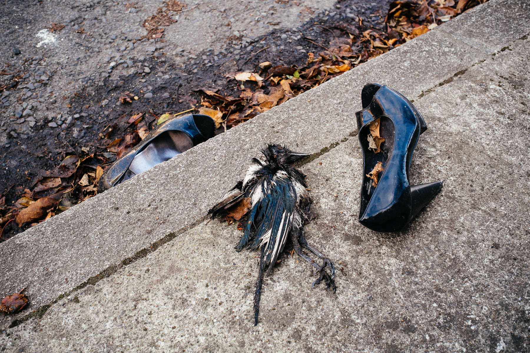 Ricardo Kump Photography -