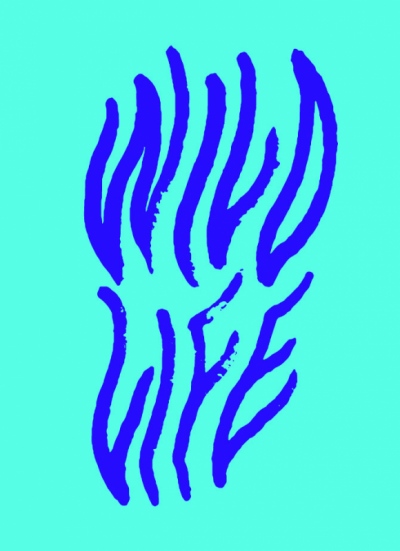 Studio Moross - Wild Life Branding