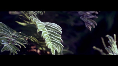 Studio Moross - Tourist I Cant Keep Up Visualiser