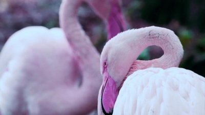 Studio Moross - Washed Out Dont Give Up