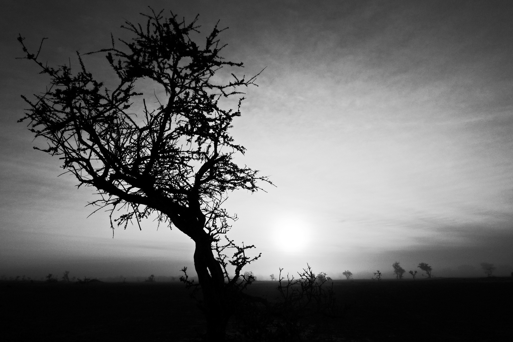 René-Pierre Delorme, photographe - 