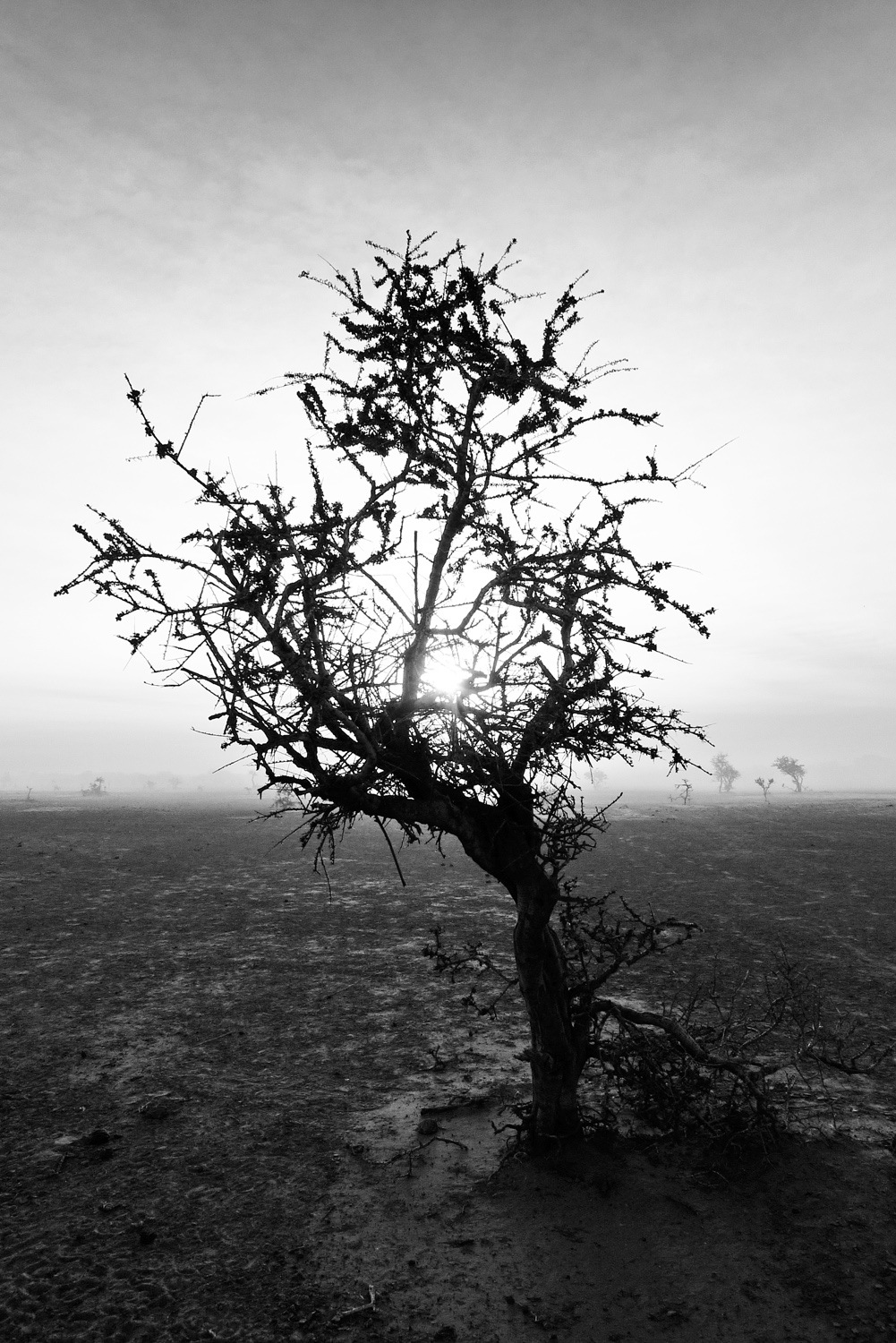 René-Pierre Delorme, photographe - 