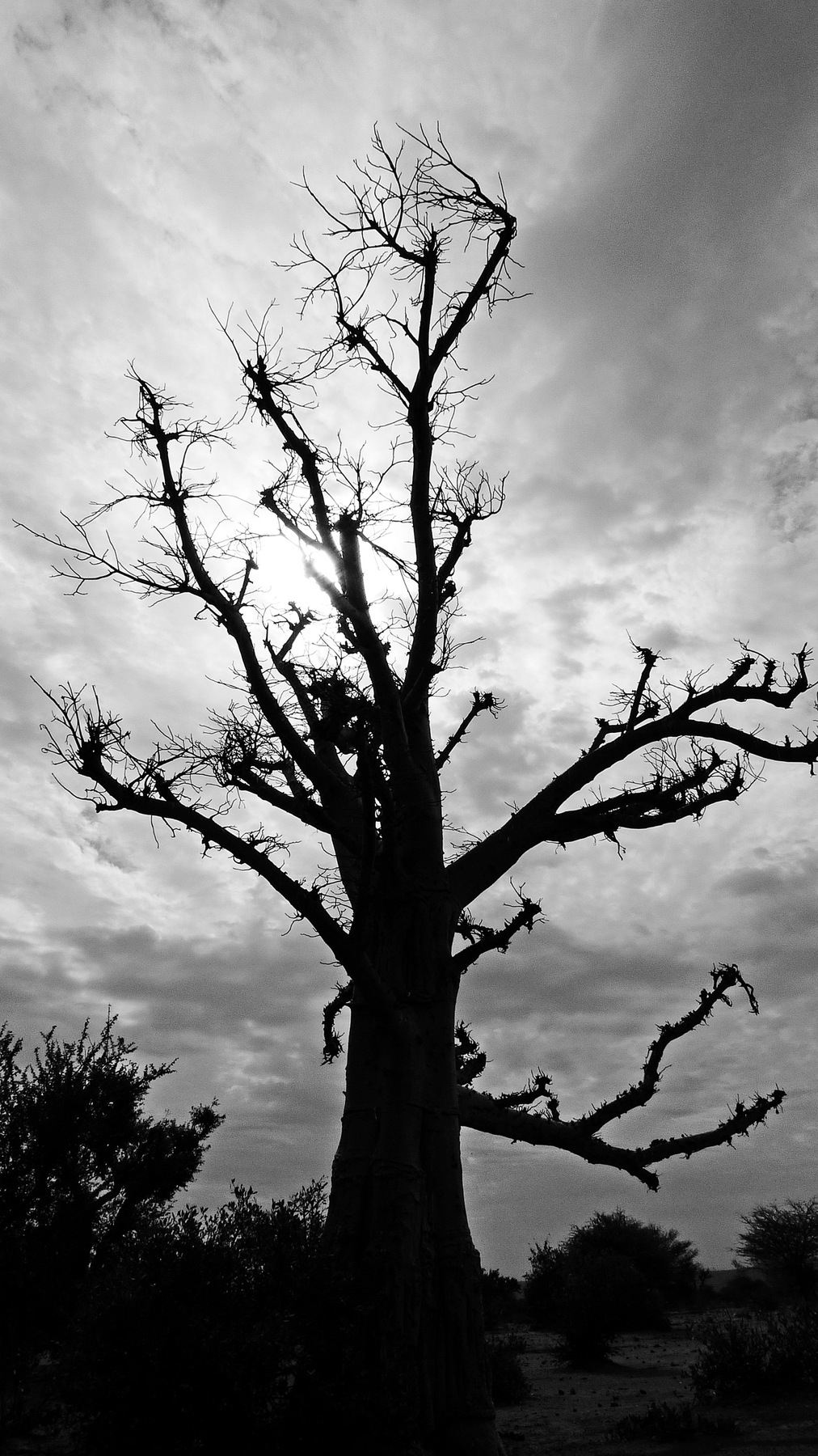 René-Pierre Delorme, photographe - 