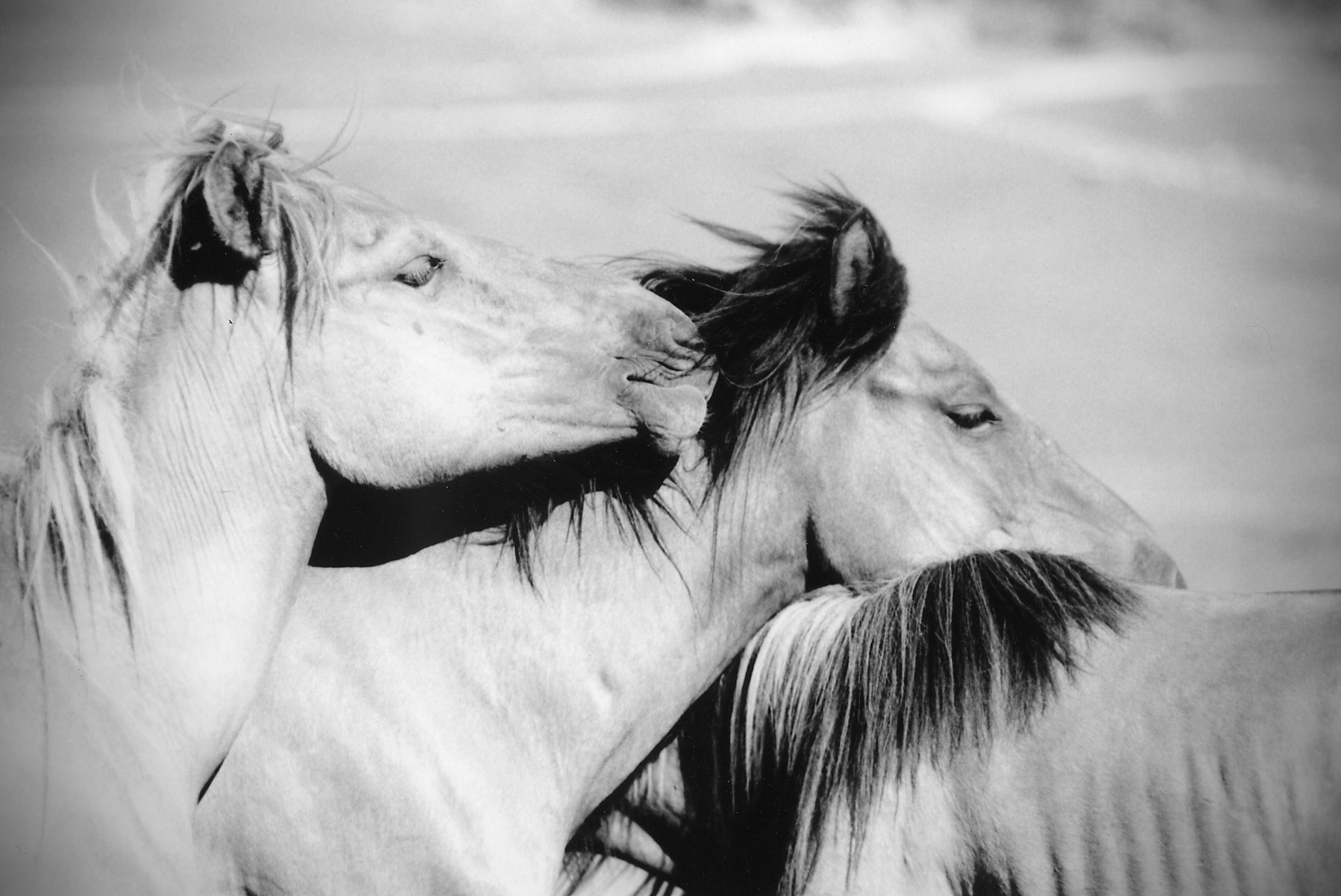 René-Pierre Delorme, photographe - 