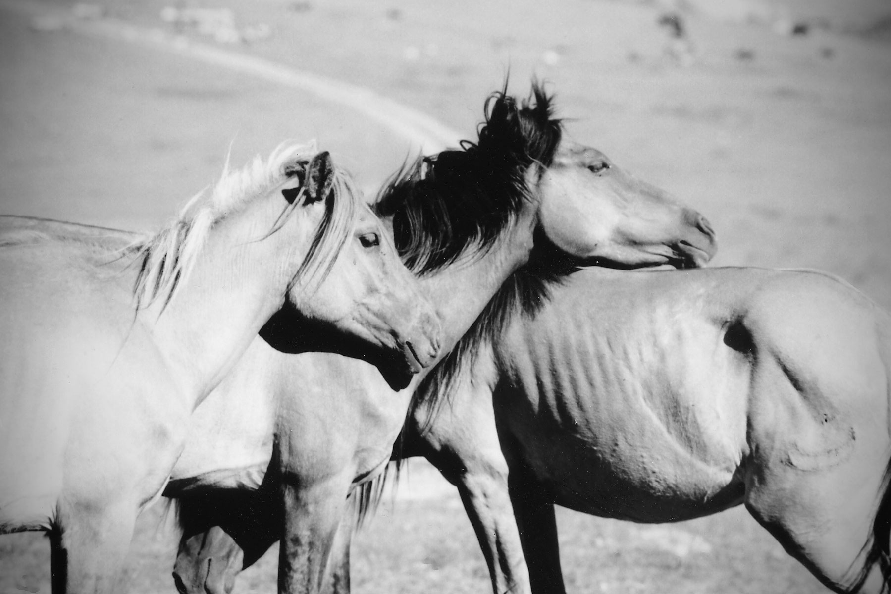 René-Pierre Delorme, photographe - 