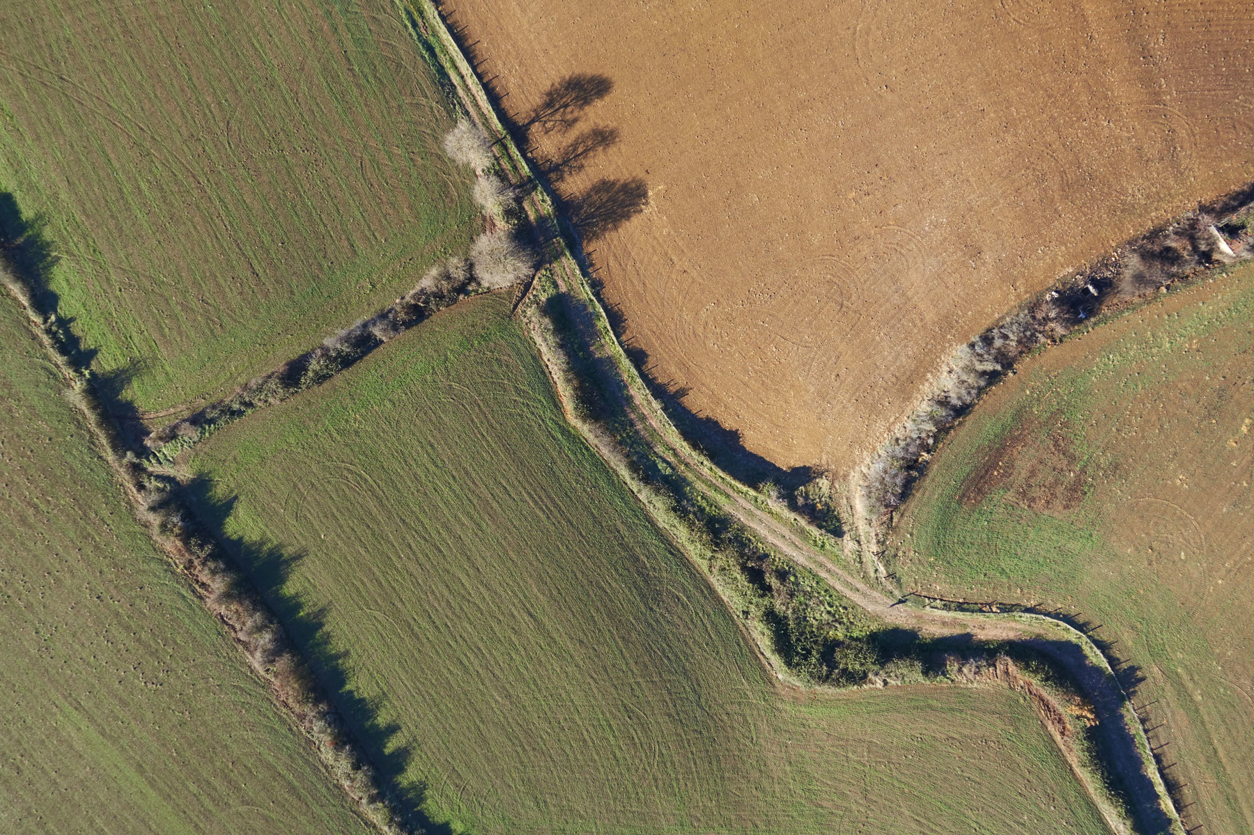 René-Pierre Delorme, photographe - 